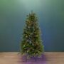 5′ Noble Fir Tree